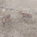 한강수변길 이미지