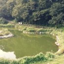 산들산약초작목반영농조합법인 | 산들산약초 영농조합법인