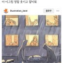 개와고양이 이미지