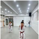 MMA주짓수 | 청천동 주짓수·태권도 도장, 합성태권도장 / 팀레드폭스 주짓수&amp;MMA 체험 후기 🥋