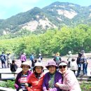 카페미미 - 부산진구 시민공원로19번길 68 | 카페미미