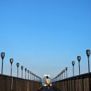 무안 갯벌랜드 국내 최장거리 1.5KM 바다위 데크/2025.9 개통 이미지