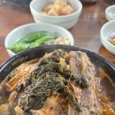 제주 먹부림