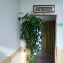 행복나무 이미지