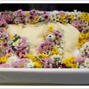 복실이 PC 이미지