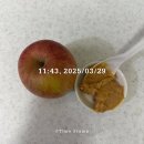 프레시크레딧대치 | 3/29 [직장인 바프 일기] 다이어트 중 찾아온 입터짐 폭발의 날🔥 (멘탈 붕괴 주의)