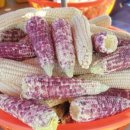 서인농장 이미지