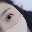 컬리블리 | 다산 속눈썹펌 컬리블리 솔직후기