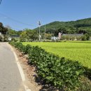 가일보건진료소 이미지