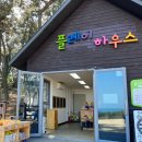 산들나무병원 | 주말 독박육아 해결! 울산시립어린이테마파크 솔직후기｜8살·4살 남매와 실내·실외 놀이터 완전 정복...