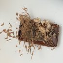 피오갓 블랙, 복부캣주사, 대부도 드라이브, 부케캔들, 스타벅스 레디백 핑크, 도미노피자 화요일 40...