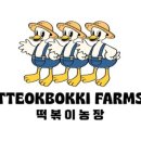 플라자농장 이미지