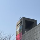(앵콜 진행) 시네마천국 이머시브 특별전 - 투.토토 더서울라이티움 / 조조특가로 관람하고 온 서울숲...