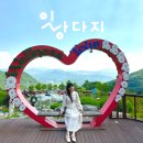 산청각 식육식당 이미지