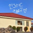 [제주도 카페]제주공항 카페 이호테우 카페 “인그리드” 케이크 맛집