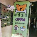 호텔펫코리아 이미지