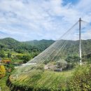 행복조류사 이미지