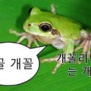 오늘우리집비어 이미지