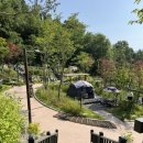 성남가족캠핑숲 | 🏕️서울 도심 속 숲캠핑, [앵봉산 가족캠핑장] 솔직 후기(B-1 사이트)