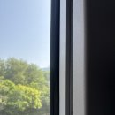 대구삼성라이온즈파크 | 1루 내야지정석 1-11구역 30열 후기