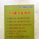 UR(오산시)-[오산로]-하-20 | [경기 오산] 오산마사지 오산통증관리 오산체형관리 후기