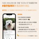 망고이야기 이미지
