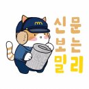 하이바이 마마 아역의 비밀 이미지