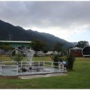 펫더가든 이미지