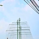 옛골흑염소 이미지