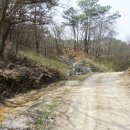 곡성-235 이미지