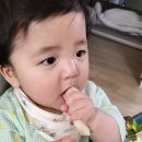 푸룻한세상