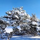 육감만족 이미지