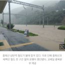 [국도19] 충주시 구룡리