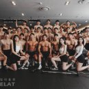 팀터틀랫김해 이미지