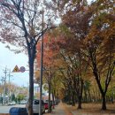 은봉로 60번길 이미지