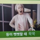 3에이치 지압침대 이미지