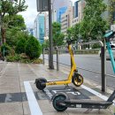 강남-152 시민일보