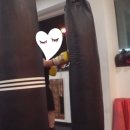 피노키오복싱 이미지