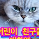 모여봐요 고양이카페 이미지