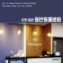 동물에 반하다 동물병원 이미지