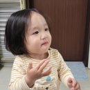 정임목장 네이버블로그