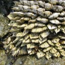 남해-297 이미지