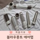 블라우풍트 에어이지 드라이어 3달 내돈내산 후기(장점, 단점)