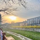 신흥중학교 | 🌱 인하멘토링 후기 | 신흥중학교에서 함께한 소중한 20시간의 기록