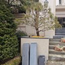 보정로114번길 | 용인 대리석 백화 오염된 화강석 계단 교체 보수 수리