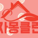 자몽클린 이미지
