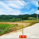 분지농장 이미지