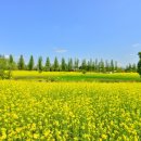 (149) 순천을 떠나면서 - “여름엔 게판, 겨울엔 새판” 이미지