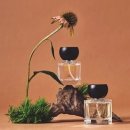 가장큰태평양약국 이미지