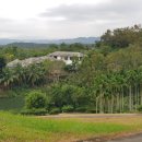 스타골프 이미지